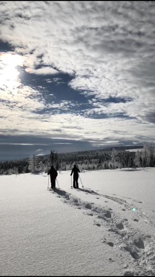 Loma-Laattaja Villa Hyrynsalmi Exteriör bild