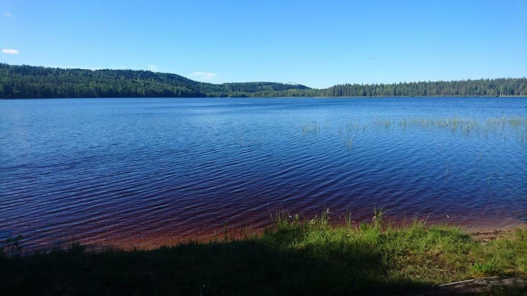 Loma-Laattaja Villa Hyrynsalmi Exteriör bild